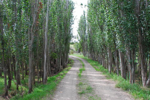 Back Valley Farmstay Bed And Breakfast - Holiday Melbourne 2
