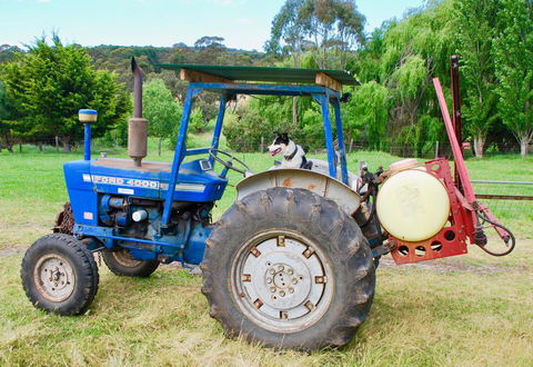 Back Valley Farmstay Bed And Breakfast - Holiday Melbourne 14