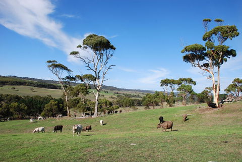 Back Valley Farmstay Bed And Breakfast - Holiday Melbourne 0