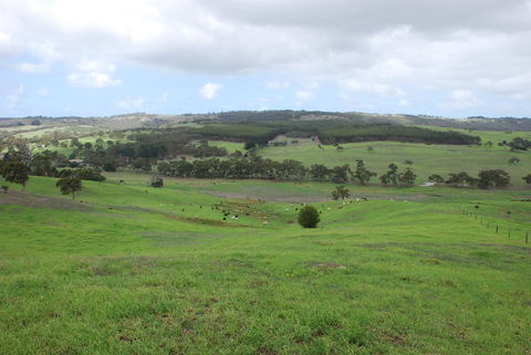 Back Valley Farmstay Bed And Breakfast - Holiday Melbourne 15