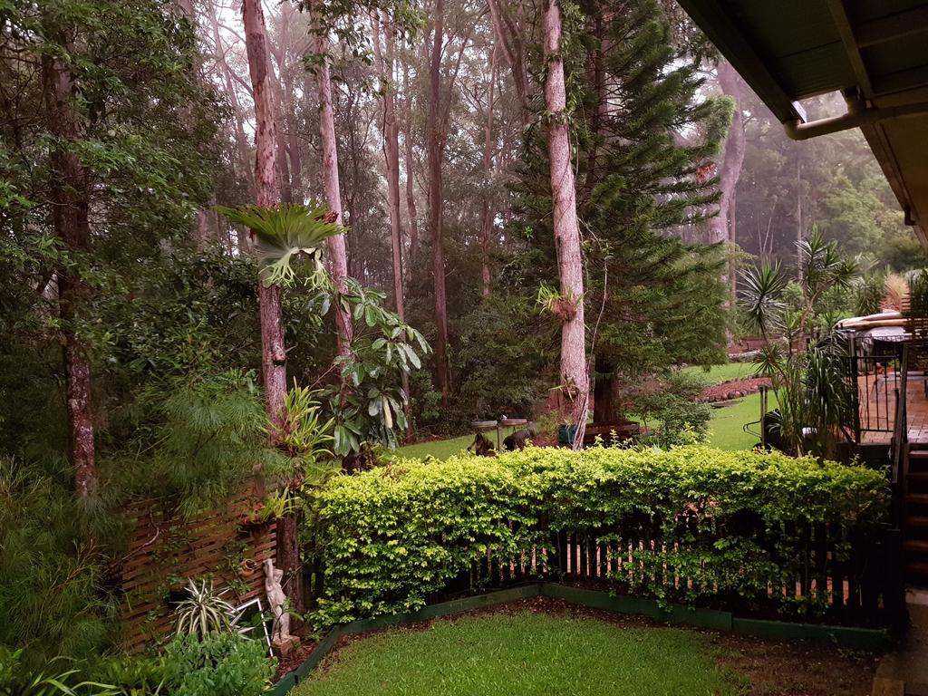 Buderim Forest Hideaway - thumb 2