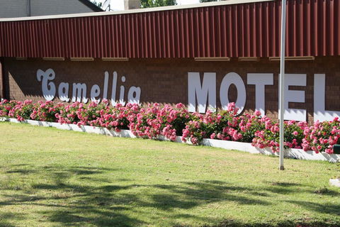 Camellia Motel - Tourism Listing 2