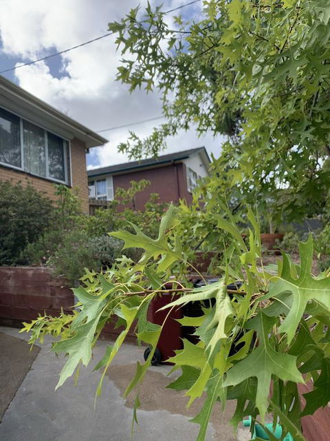 Comfortable Homestay - Byron Bay Accommodation 1