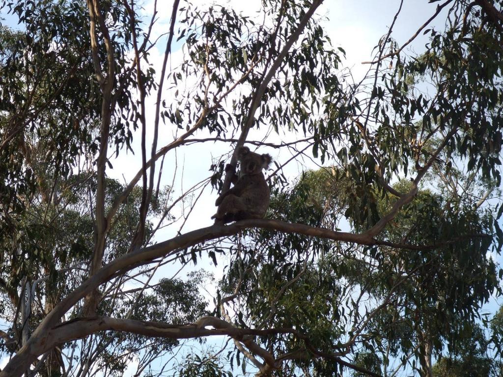 Goombungee QLD Victoria Tourism