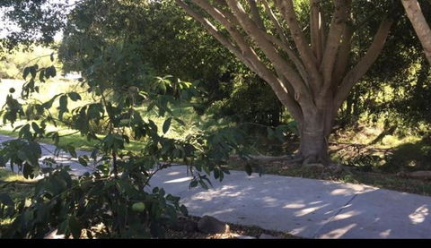 Handford Gardens - Holiday Sydney 2