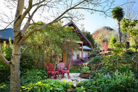 Hills End Camellia - Byron Bay Accommodation 0