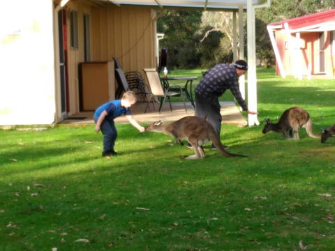 Kalgan River Chalets And Caravan Park - Holiday Melbourne 0