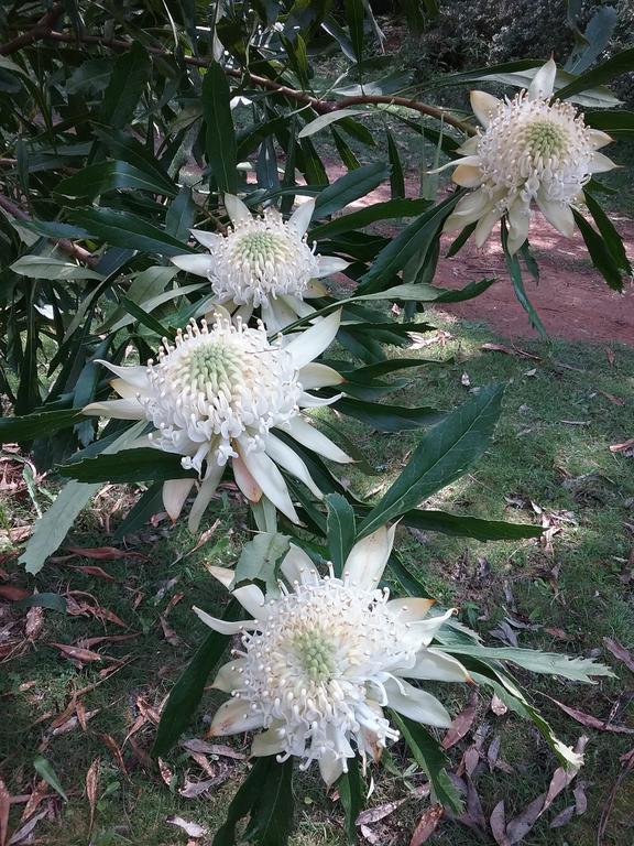 Hallston VIC Holiday Melbourne