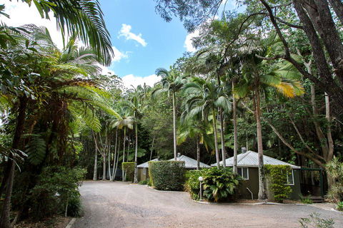 Nambour Rainforest Holiday Village - Holiday Sydney 2