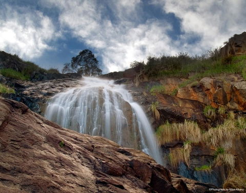 Banksia Tourist Park - Tourism Listing 17