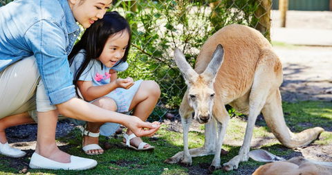 Banksia Tourist Park - Tourism Listing 29