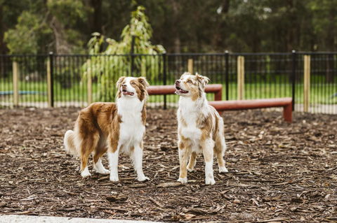 Banksia Tourist Park - Tourism Listing 16