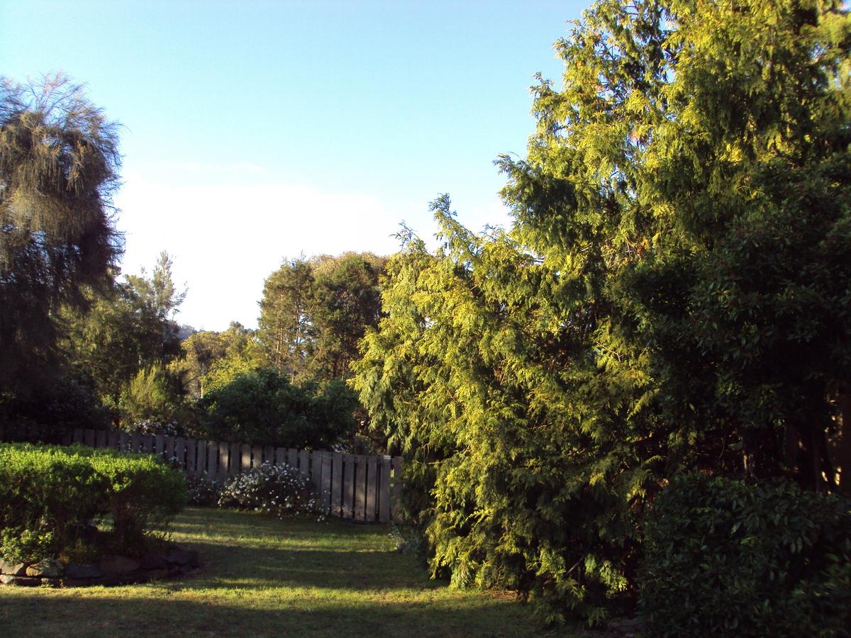 Orford's Sanda House B&B - thumb 42