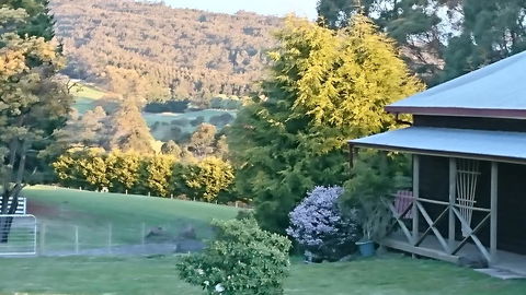Glengarry Farm Stay BnB - Caravan Park Accommodation 7