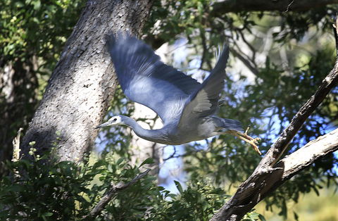 Riverwalk B&B - Victoria Tourism 15