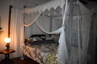 Oskar's Rain Forest Retreat