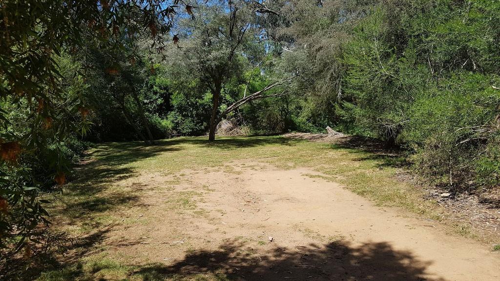 Riverview Caravan Park - thumb 3