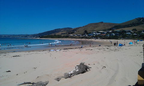 Skenes Creek Beachfront Caravan Park - Caravan Park Accommodation 2