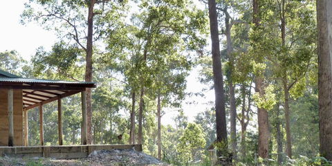 Southern Forest Escape Pemberton - Holiday Melbourne 1