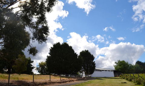 Springhill Winery - Holiday Melbourne 2