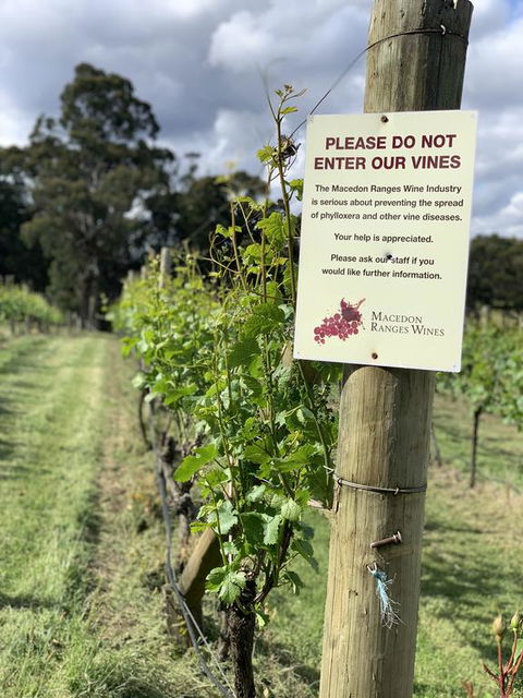 Springhill Winery - Holiday Melbourne 3