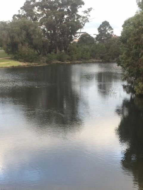 Telperon (2 Rooms, 3-4 Guests) - Holiday Sydney 3