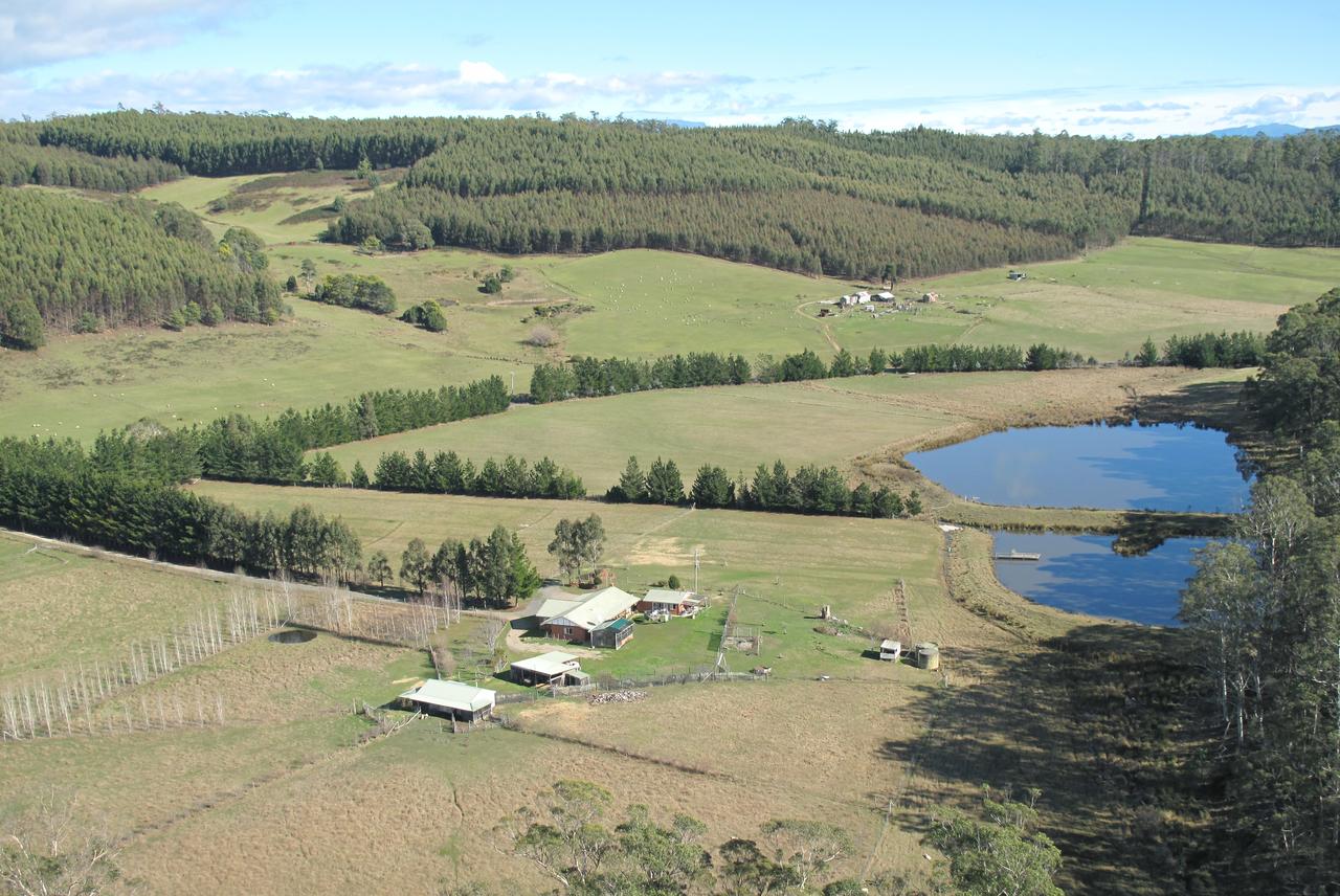 Quamby Pines Chalet - thumb 7