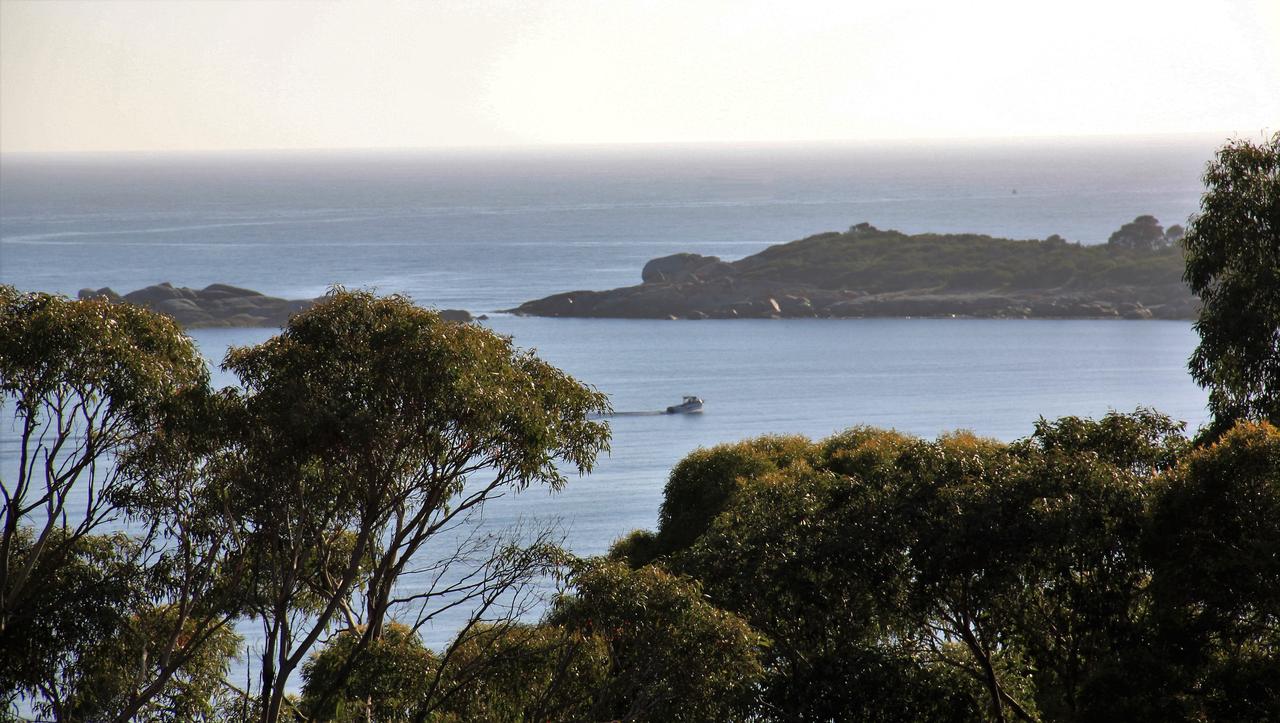 BAY OF FIRES SEACHANGE Ocean Frontage - thumb 19