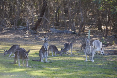 Yering Gorge Cottages - Byron Bay Accommodation 14