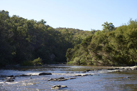 Yering Gorge Cottages - Byron Bay Accommodation 21
