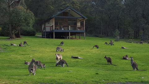 Yering Gorge Cottages - Byron Bay Accommodation 6