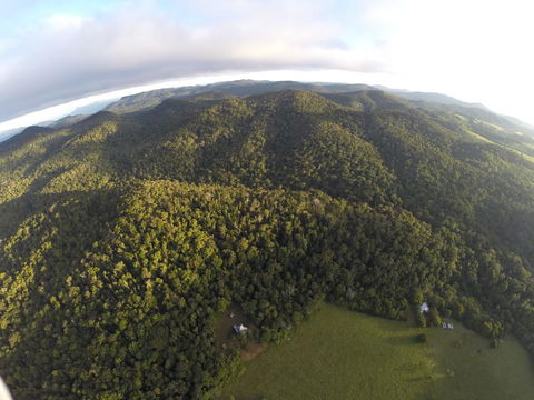 The Jungle Stays - Victoria Tourism 1