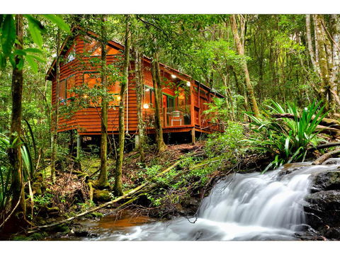 The Mouses House Rainforest Retreat - Holiday Sydney 0