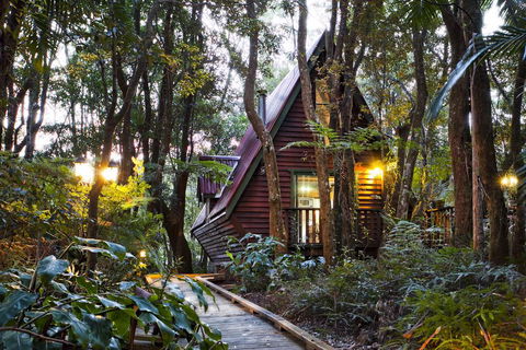 The Mouses House Rainforest Retreat - Holiday Sydney 1