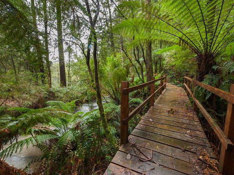 The Source, Otways - Tourism Listing 0