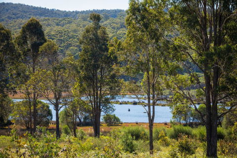 Top Of The Lake Holiday Units - Caravan Park Accommodation 1