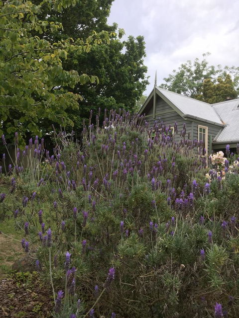 Oak Tree Lodge - Casino Accommodation 25
