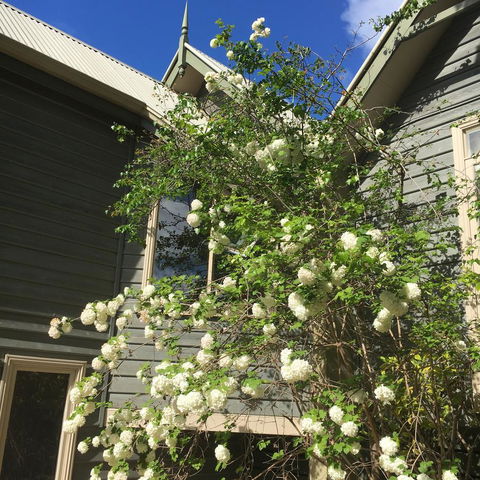 Oak Tree Lodge - Casino Accommodation 16