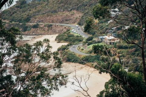 WYE UP - Through The Treetops. Out To The Sea. - Holiday Melbourne 2