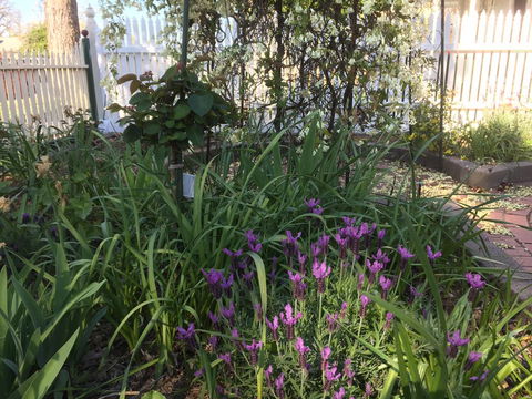 Yapera On Lucan - Holiday Sydney 2
