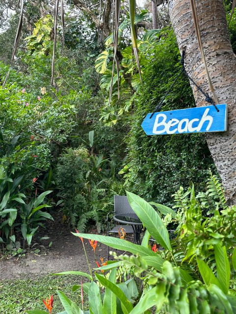 Absolute Beach Front Home -Dogs, Surf, Relax, Bush - Accommodation Australia 2