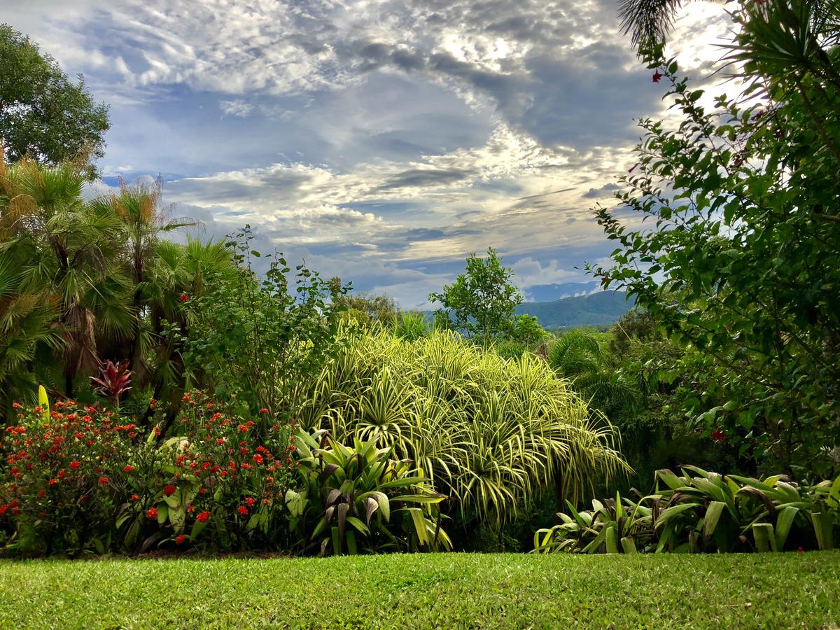 Daintree Manor B&B - thumb 2