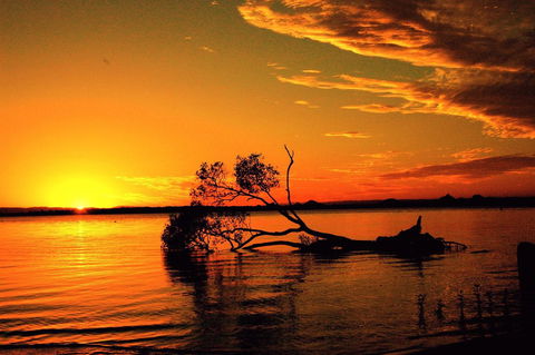 Pet Friendly Cottage In The Heart Of Bribie - Wirraway St, Bongaree - WA Accommodation 8