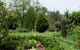 Braeside Bliss - thumb 0