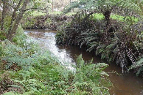 Creekside Cottage, Country Escape, Rumbellara Farm - Holiday Melbourne 3