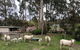 Creekside Cottage, Country Escape, Rumbellara Farm - thumb 1