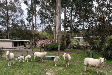 Creekside Cottage, Country Escape, Rumbellara Farm - Holiday Melbourne 1