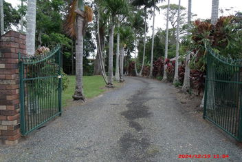 Emerald Tropical Palms B & B with Accommodation Airlie Beach