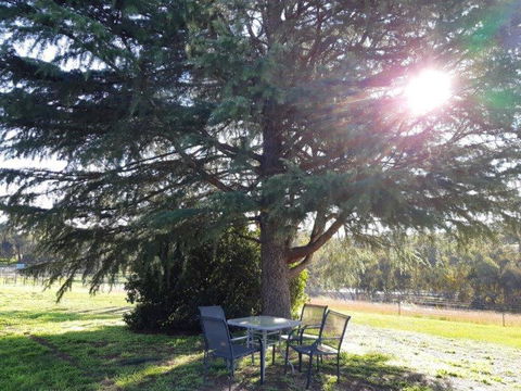 Indigo Vineyard Farmstay - Accommodation Australia 2