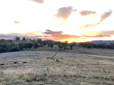 Luxury Country Guesthouse On Large Cattle Station - Holiday Melbourne 1